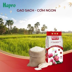 Gạo Hapro Đồng Tháp2010