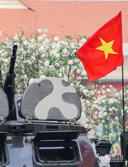 Bộ Tư lệnh Thành phố Hồ Chí Minh tổ chức lễ ra quân huấn luyện năm 2025 và phát động đợt thi đua cao điểm "Thần tốc - Quyết thắng" làm trước cho toàn quân, là một trong những sự kiện quan trọng, mở đầu cho các hoạt động lập thành tích chào mừng kỷ niệm 50 năm Ngày Giải phóng miền nam, thống nhất đất nước (30/4/1975-30/4/2025) và 135 năm Ngày sinh Chủ tịch Hồ Chí Minh (19/5/1890-19/5/2025)