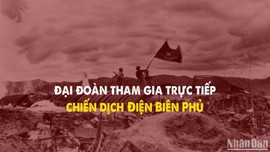 [Infographic] Những đại đoàn nào tham gia trực tiếp Chiến dịch Điện Biên Phủ? Mật danh là gì?