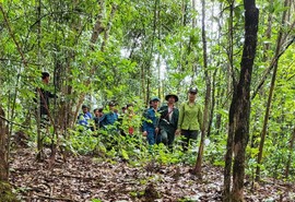 Tiếp tục đôn đốc, hỗ trợ chủ rừng mở tài khoản nhận tiền dịch vụ môi trường rừng 