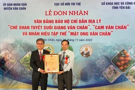 Cục Sở hữu trí tuệ trao giấy chứng nhận cho huyện Văn Chấn.