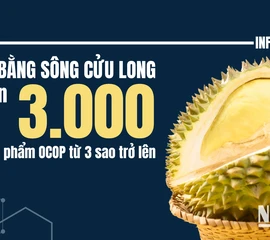 [Infographic] Đồng bằng sông Cửu Long có gần 3.000 sản phẩm OCOP