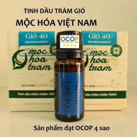 Tinh dầu tràm gió Mộc Hóa Việt Nam