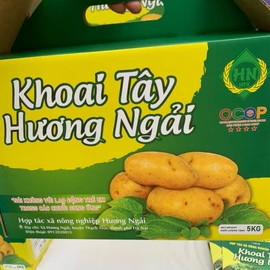 Khoai tây Hương Ngải