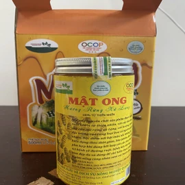 Mật ong hương rừng xứ Lạng 