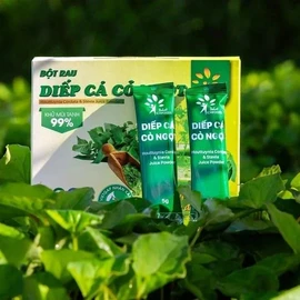 Bột diếp cá cỏ ngọt Dalat Ichifoods