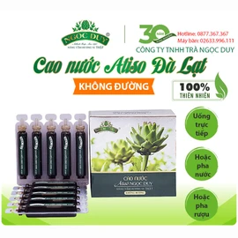 Cao nước atiso không đường Ngọc Duy