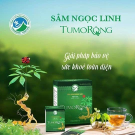 Trà sâm Ngọc Linh hòa tan