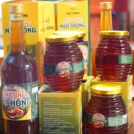 Mật ong núi Hồng