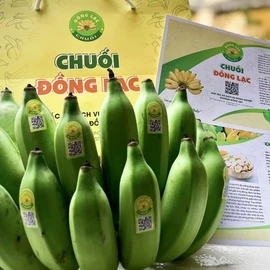 Chuối Đồng Lạc