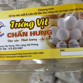 Trứng vịt Chấn Hưng