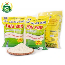 Gạo nếp cái hoa vàng Thái Sơn