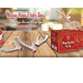 Nhung hươu tươi Chiến Sơn