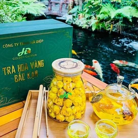 Trà hoa vàng Bắc Kạn