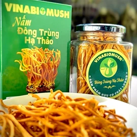 Nấm Đông trùng hạ thảo khô Vinabiomush