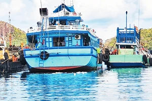 Tàu xả rác trực tiếp ra biển khiến cho cảng Bến Đầm trở thành điểm nóng về môi trường. Ảnh: WWF
