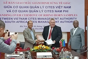 Bàn giao mẫu giám định sừng tê giác giữa cơ quan quản lý Cites Việt Nam và Cơ quan quản lý Cites Nam Phi.