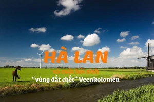 Hà Lan và cuộc hồi sinh “vùng đất chết” Veenkoloniën