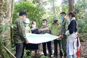 Một buổi tuần rừng ở Khu bảo tồn thiên nhiên Bát Xát (Lào Cai).