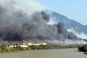 Cháy rừng tại tỉnh British Columbia. Ảnh REUTERS