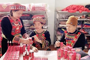 Đóng gói các sản phẩm tại Hợp tác xã Thiên An, xã Vi Hương, huyện Bạch Thông.