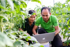 Giám đốc HTX Dịch vụ nông nghiệp Thủy canh Việt (TP Đà Lạt, Lâm Đồng) Nguyễn Đức Huy (bên phải) hướng dẫn người dân áp dụng hệ thống quản trị vườn qua máy tính. Ảnh: Mai Văn Bảo