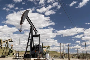 EIA đã nâng dự báo giá dầu Brent lên mức 116 USD/thùng trong quý II/2022. Ảnh: Reuters