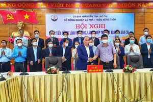 Ký kết hợp tác giữa các doanh nghiệp và các huyện của tỉnh Lào Cai về đầu tư, sản xuất và chế biến nông, lâm sản. 