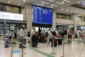 Lao động Việt Nam nhập cảnh tại sân bay Incheon (Hàn Quốc). (Ảnh: Anh Nguyên/TTXVN tại Hàn Quốc)
