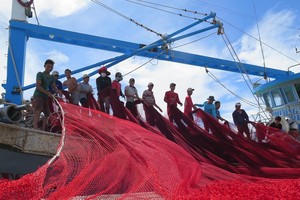 Ngư dân đưa lưới lên tàu tại cảng cá Mỹ Tân (xã Thanh Hải, huyện Ninh Hải, Ninh Thuận), chuẩn bị cho chuyến ra khơi. Ảnh: Minh Hưng