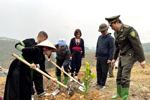 Đồng chí Đỗ Đức Duy, Ủy viên Trung ương Đảng, Bí thư Tỉnh ủy Yên Bái cùng nhân dân trồng cây.