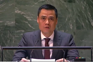 Đại sứ Đặng Hoàng Giang, Trưởng Phái đoàn thường trực Việt Nam tại Liên hợp quốc, phát biểu tại phiên thảo luận. (Ảnh: TTXVN phát)