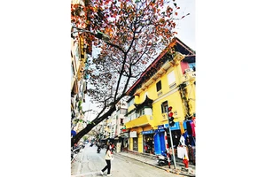 Ảnh: MINH KHIẾU