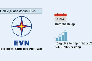  Tập đoàn Điện lực Việt Nam (EVN)