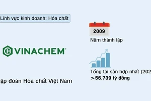 Tập đoàn Hóa chất Việt Nam (VINACHEM)