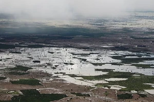 Toàn cảnh cánh đồng bị ngập úng sau khi mưa lớn xuất hiện tại Baidoa, Somalia, ngày 16/11/2023. Ảnh: Reuters