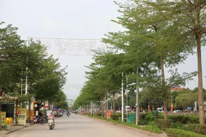 Bộ mặt đô thị thị trấn Vôi, huyện Lạng Giang ngày càng xanh, sạch, đẹp.