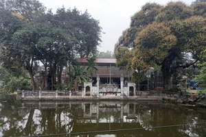 Vướng mắc kéo dài về thủ tục dự án tu bổ, tôn tạo khiến cho đình Phú Lương Thượng (xã Quảng Phú Cầu, huyện Ứng Hòa, thành phố Hà Nội) xuống cấp nghiêm trọng. Ảnh: NGUYỄN ANH