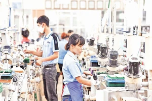 Lãi suất cho vay tăng làm doanh nghiệp điêu đứng. Ảnh | Hoàng Hà 