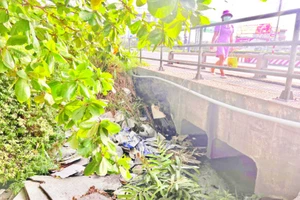 Một tuyến kênh chảy qua địa bàn phường Phước Long A, thành phố Thủ Đức bị ô nhiễm bởi nhiều loại rác thải.