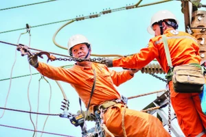Công nhân điện lực miền trung nâng cấp, sửa chữa lưới điện bảo đảm vận hành an toàn, liên tục, hiệu quả.