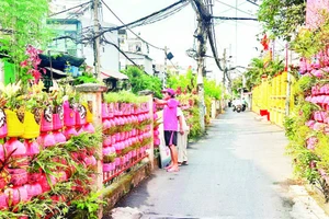 Người dân Phường 10, quận Phú Nhuận chăm sóc cây cảnh dọc tuyến đường nơi có đường sắt đi qua.