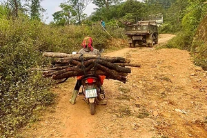 Hằng ngày, người dân phải di chuyển trên con đường lổn nhổn đất, đá ở Phia Cò.