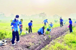 Tuổi trẻ quận Ba Đình trồng cây xanh cải tạo không gian bờ sông Hồng.