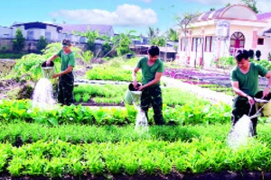 Đại đội Trinh sát cơ giới tăng gia sản xuất.