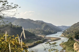 Sông Hồng những ngày này dường như rực hơn trong nắng. 