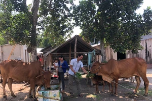 Tây Ninh triển khai các dự án phát triển kinh tế-xã hội vùng đồng bào dân tộc thiểu số.