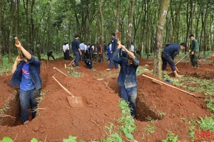 Phần mộ liệt sĩ tại huyện Hớn Quản, tỉnh Bình Phước được các chiến sĩ Đội K72 tìm kiếm, cất bốc. 