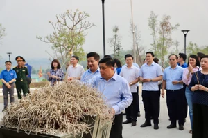 Bộ trưởng Nguyễn Chí Dũng cùng đoàn công tác đến đặt vòng hoa, dâng hương tưởng niệm và tri ân các anh hùng liệt sĩ tại Nghĩa trang Liệt sĩ quốc gia A1.