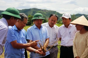 Đồng chí Bí thư Tỉnh ủy Lê Trường Lưu (thứ ba từ trái sang) kiểm tra các mô hình đầu tư giảm nghèo tại huyện miền núi A Lưới.